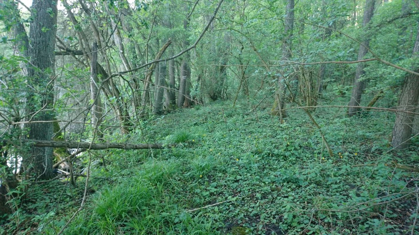 Jezioro Stubnica - Cieszyno