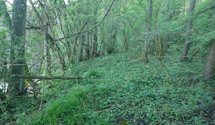 Photo 1 of the Bikemap route "Jezioro Stubnica - Cieszyno"