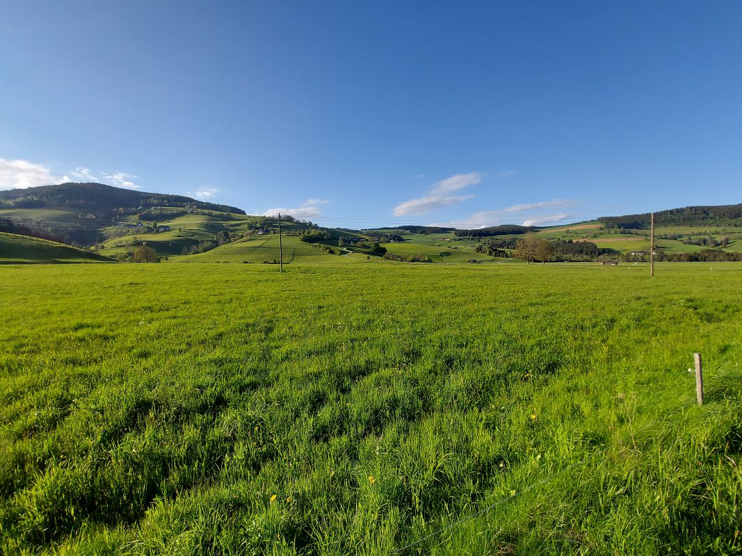 Simonhöhe