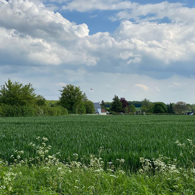 Bishop’s Stortford - Chelmsford Loop