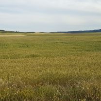 De Calle Ramón y Cajal 4, Gurrea de Gállego a A-1209 104, Gurrea de Gállego