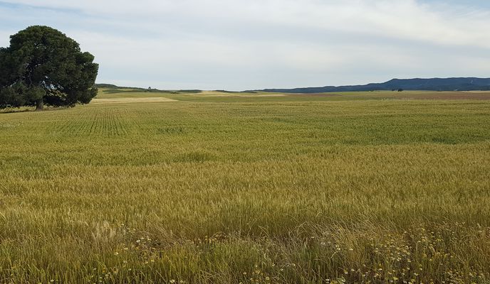 Zdjęcie 1 trasy Bikemap „De Calle Ramón y Cajal 4, Gurrea de Gállego a A-1209 104, Gurrea de Gállego” Zdjęcie 1 trasy Bikemap „De Calle Ramón y Cajal 4, Gurrea de Gállego a A-1209 104, Gurrea de Gállego”