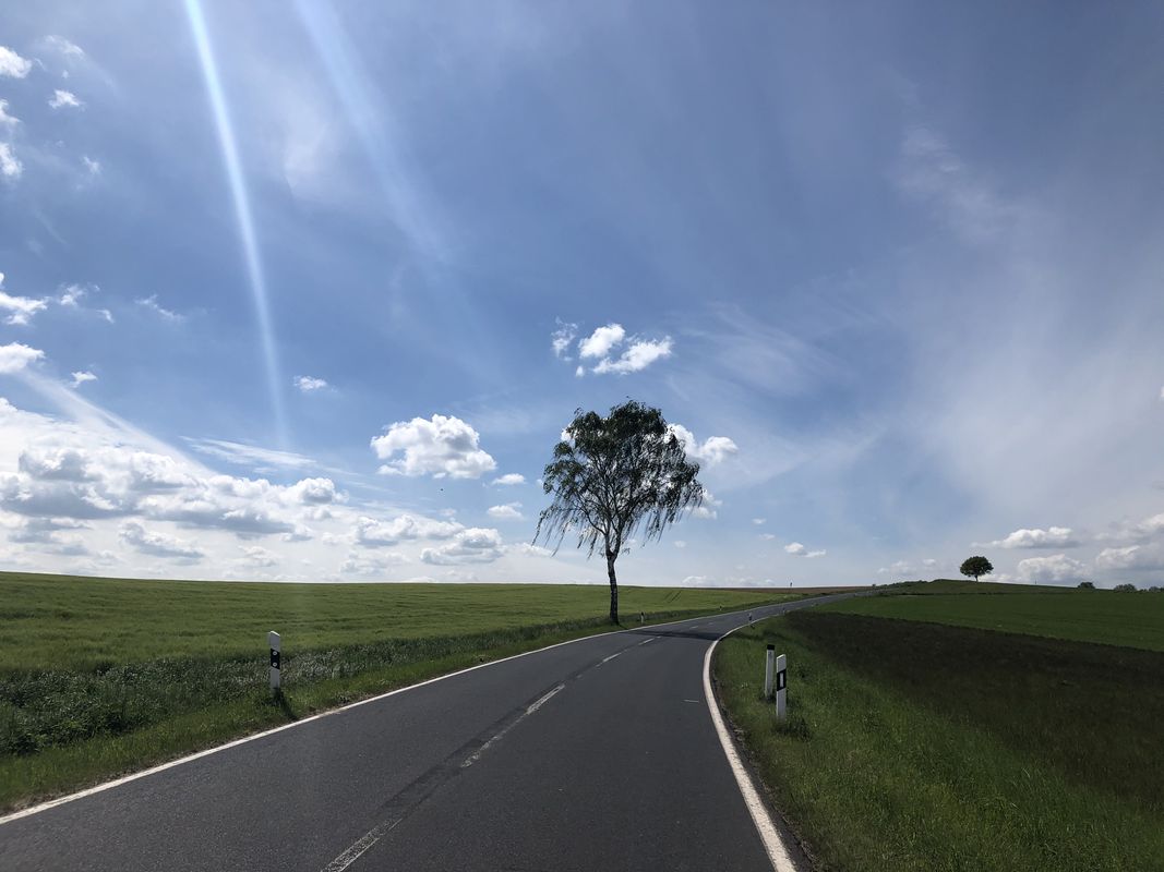 [DAY 35] Bonn - Hasenfeld (Eifel National Park)