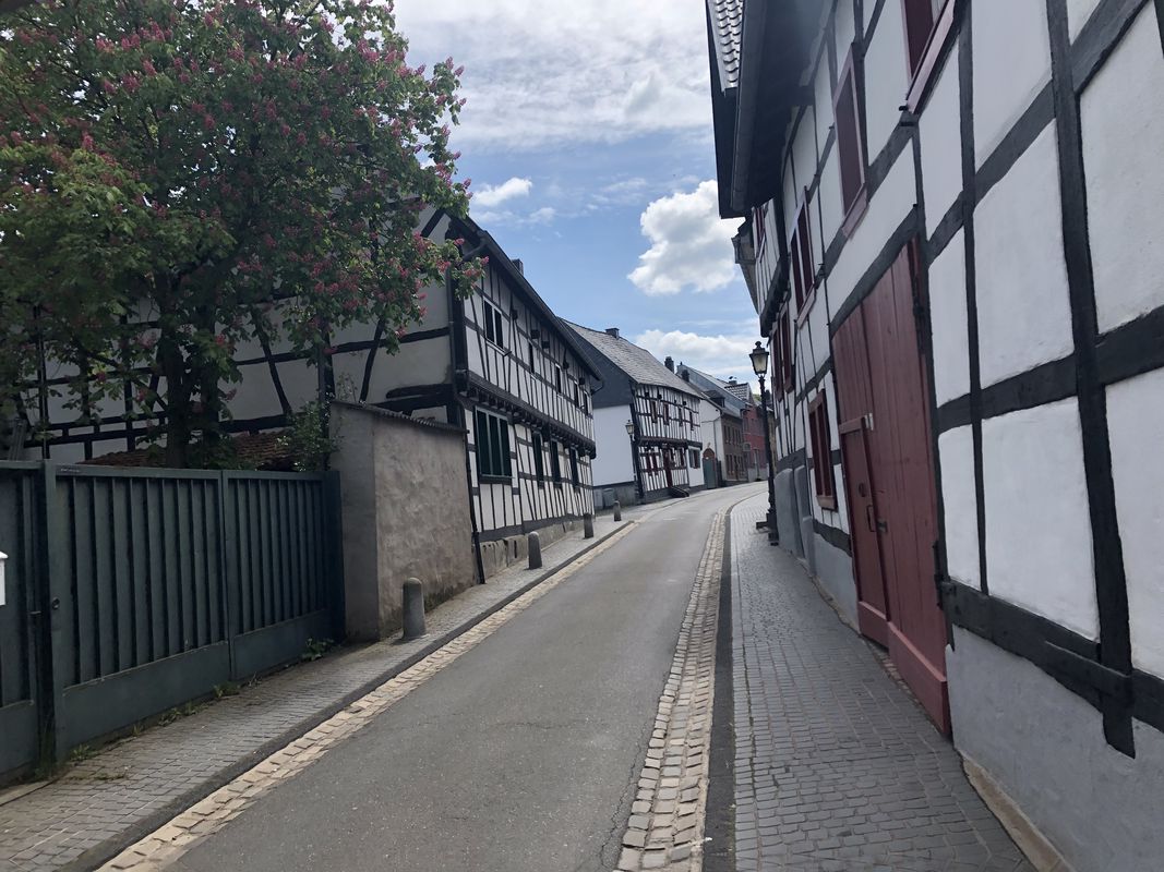 [DAY 35] Bonn - Hasenfeld (Eifel National Park)