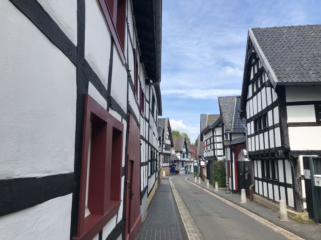 [DAY 35] Bonn - Hasenfeld (Eifel National Park)