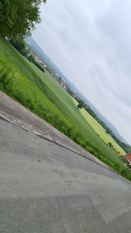 Erikastraße 13, Detmold nach Erikastraße 15A, Detmold