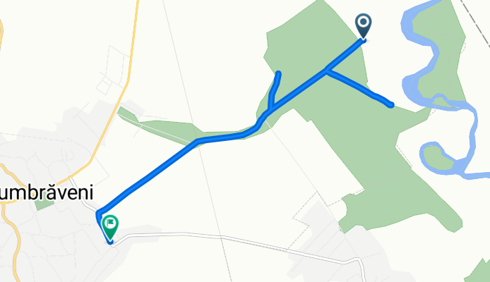 Route to Dumbrăveni-Bursuceni, Dumbraveni