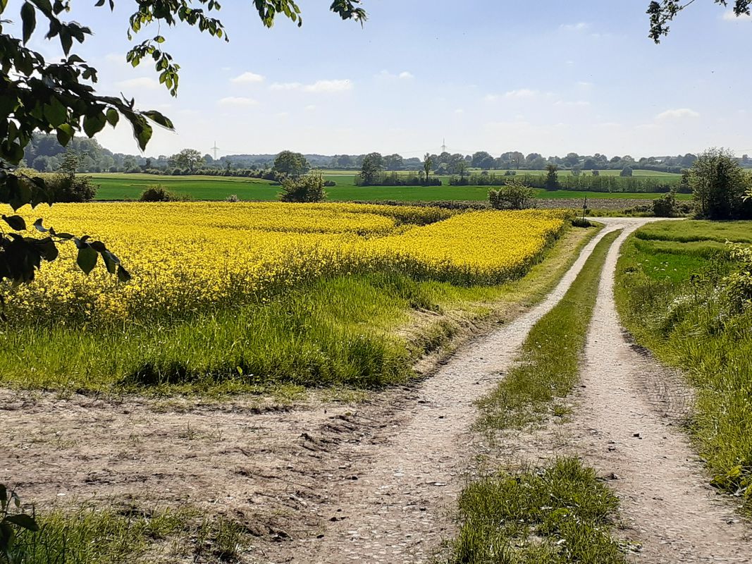 Rund um Bothkamp und Quellgebiet der Eider