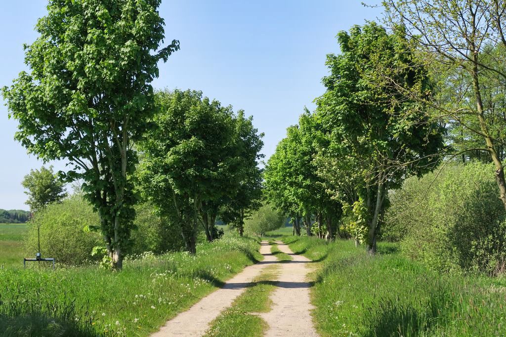 Schwerin-Rundtour: Sülstorf - Alter Dömitzer Postweg 🚴🏼