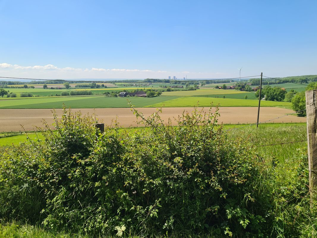 Alleestraße 26, Beckum nach Alleestraße 24, Beckum