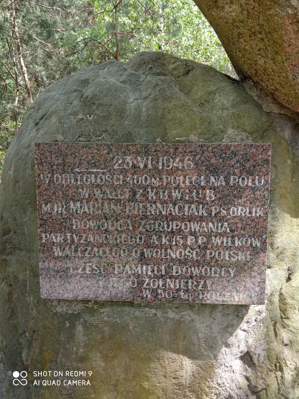 Wiatraczna 50, Kłoczew do 56B, Podwierzbie