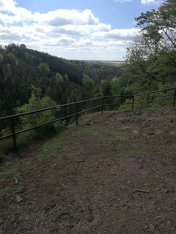 Rundtour zum Lipps Tullianfelsen (schöner Ausblick) und durch den Tharanter Wald zurück.
