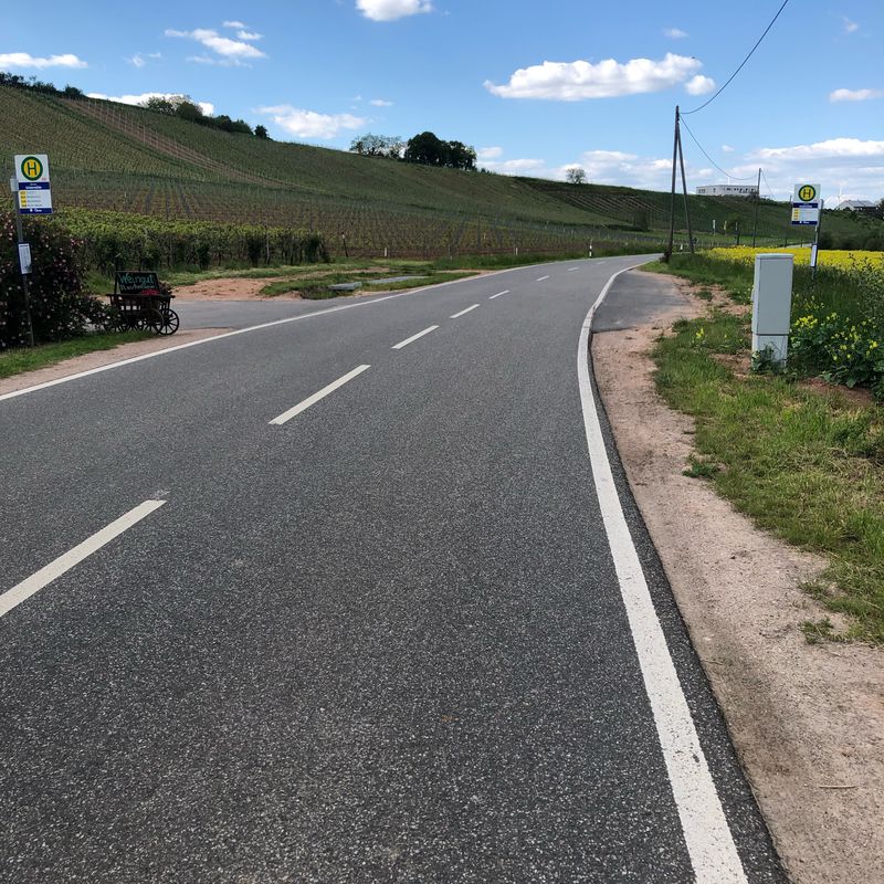 Route nach Hintergasse 46B, Alzey