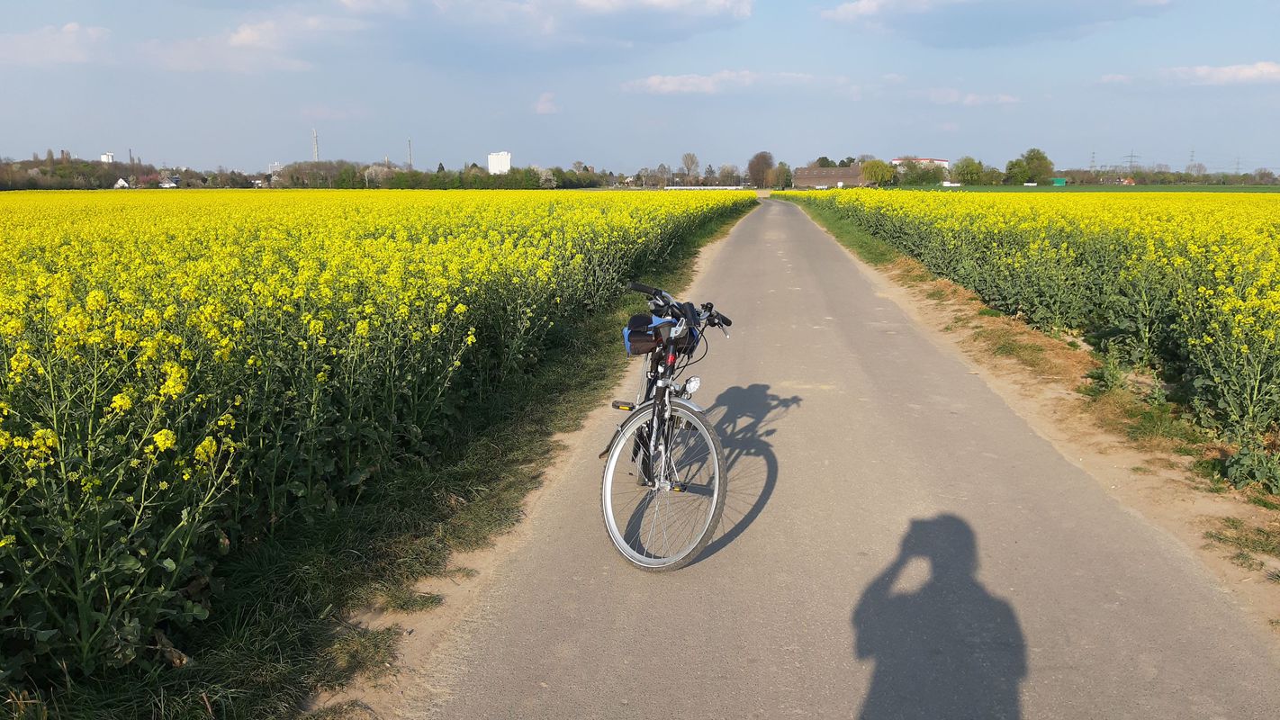von Bockum rund ums Latumer Bruch