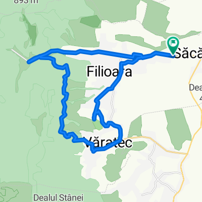 Codrii de Arama - Varatec - Agapia