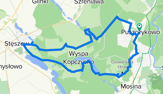 Puszczykowo - Stęszew 2021