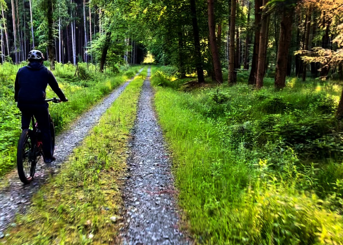 Morning Dew Ride - Bad Waltersdorf