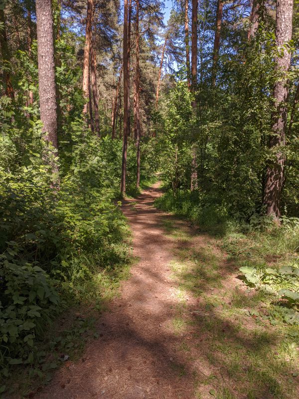 От Unnamed Road, Кунгур до Улица Челюскинцев 2, Кунгур
