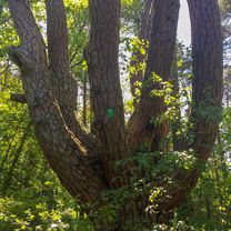 Głębokie / Nowiniec 8️⃣3️⃣🚴🏻‍♂️☀️💨