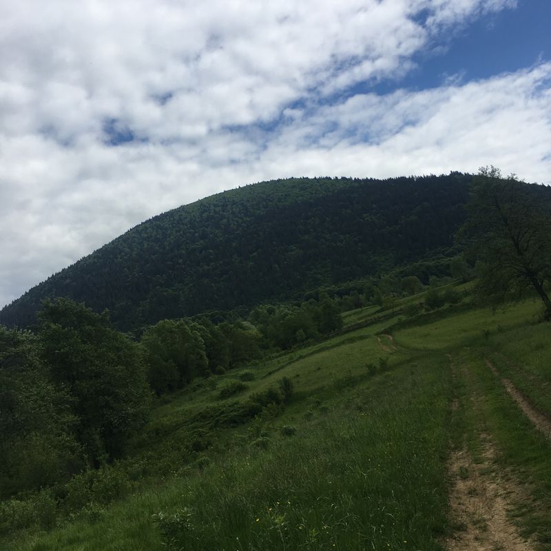 a fost o experiența frumoasa
