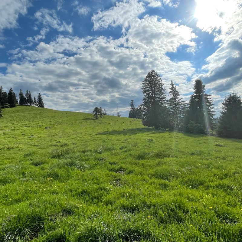 Saliste - Crint - Sibiel - Saliste