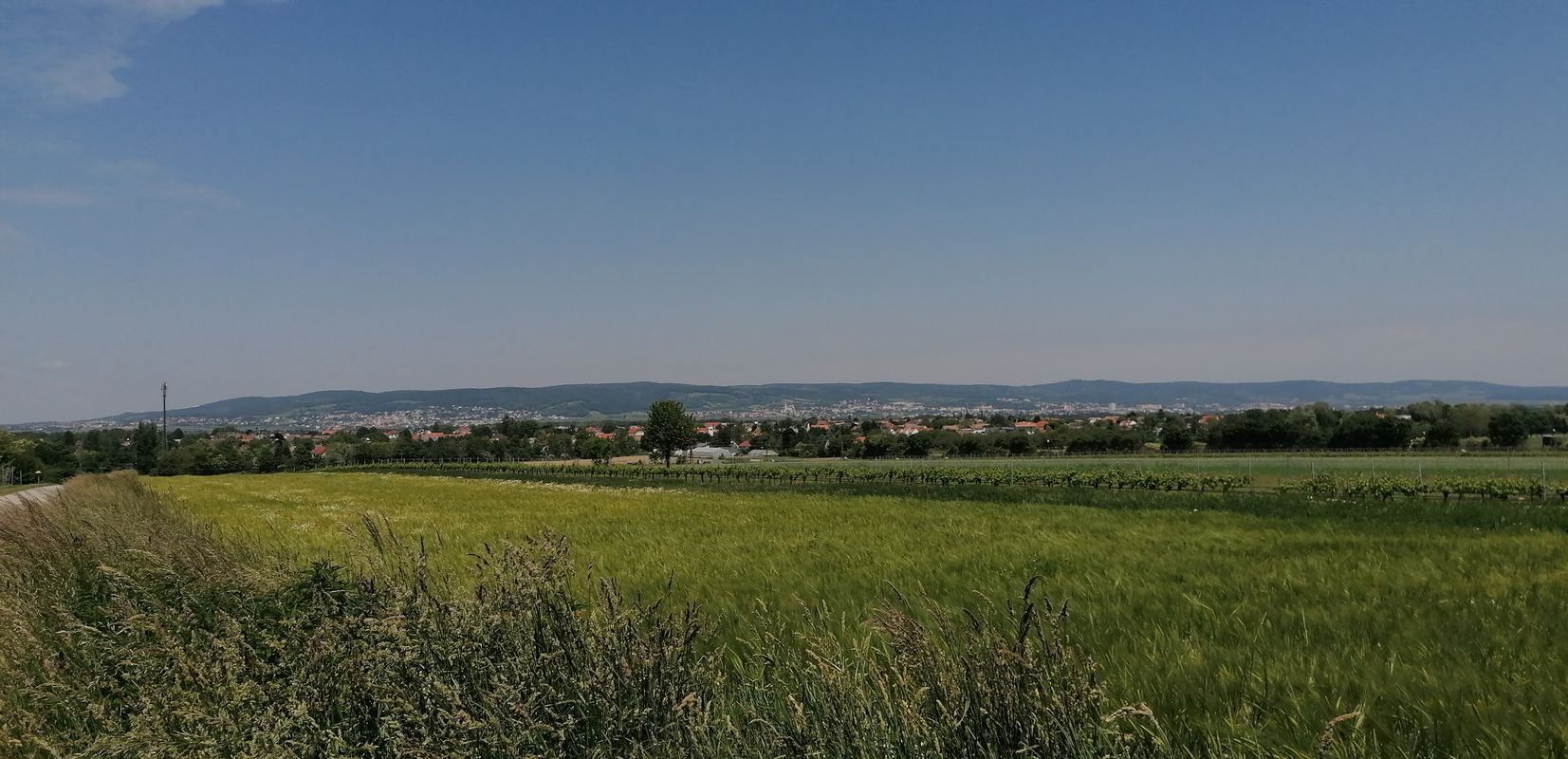 Siegen-Zagers-Wulka-Siegen