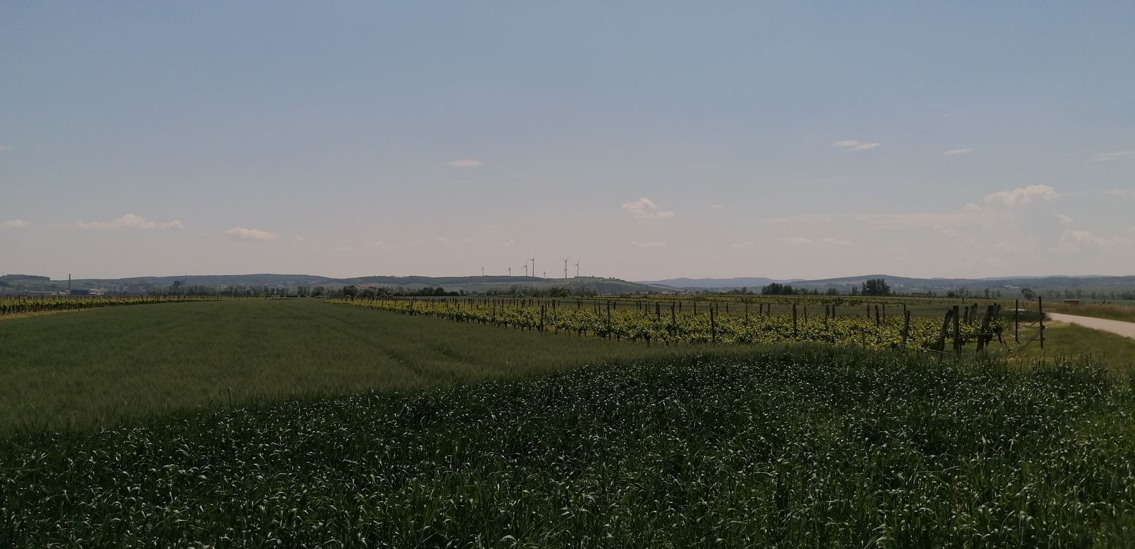 Siegen-Zagers-Wulka-Siegen