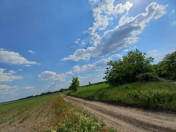 Photo 1: Krisztián Pirvuta