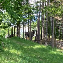 Photo 8 of the Bikemap route "Norraryds Camping - Älgriket gravel,  asphalt, 55 km"