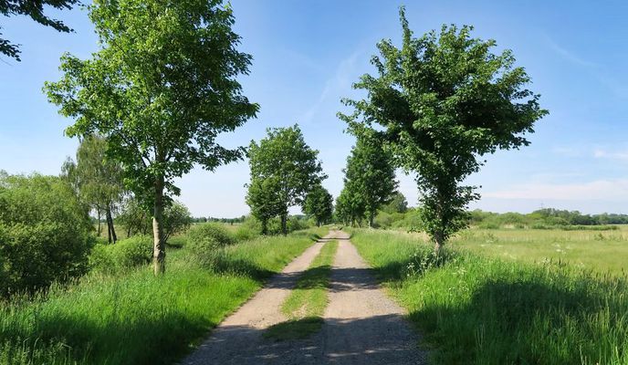 Foto 1 der Bikemap-Route "Schwerin-Rundtour: Sülstorf - Friedrichsmoor - Stör 🚴🏼"