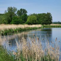 Foto 8 der Bikemap-Route "Schwerin-Rundtour: Sülstorf - Friedrichsmoor - Stör 🚴🏼"