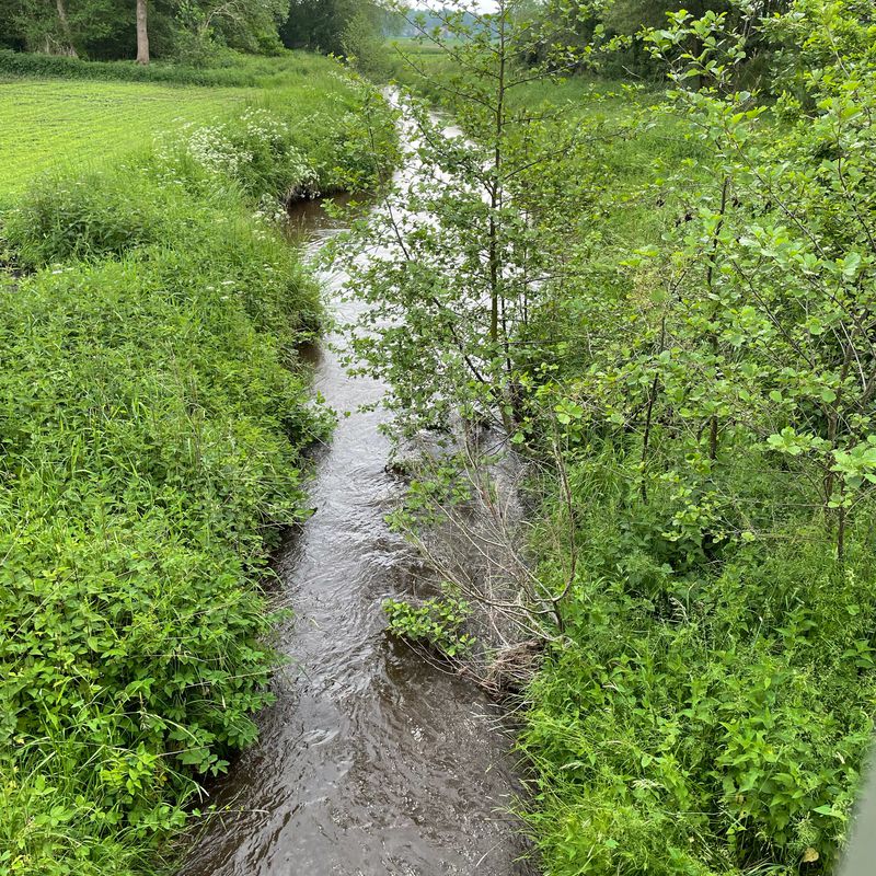 Wallstraße 59, Lastrup nach Ladestraße 2, Lastrup