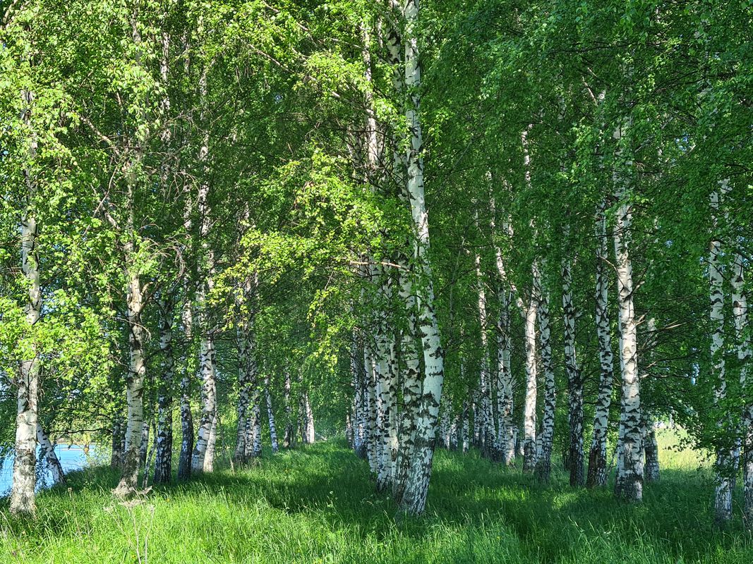 От Ульково до колоса и чуть дальше