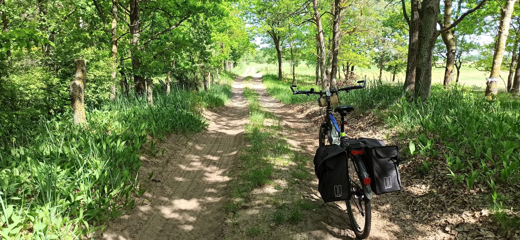 Biebrza (Szepietowo - Nowa Wieś)
