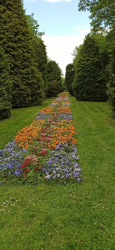 Biebrza (Nowa Wieś - Knyszyn - Białystok)