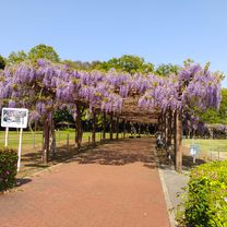 210420 館林ポタ