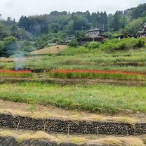 210515 小川寄居里山ポタ