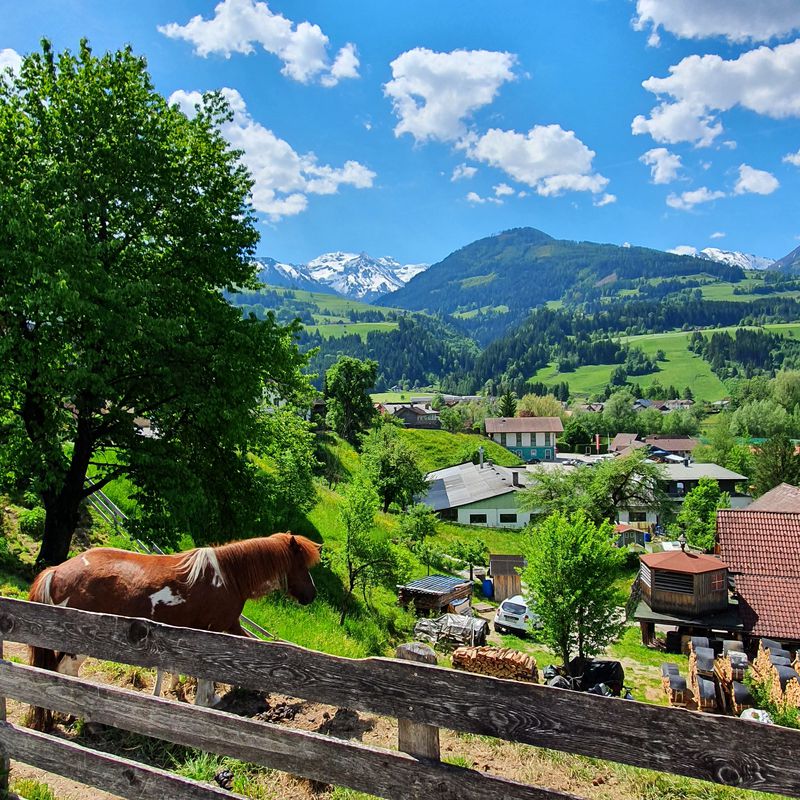Ennská stezka 🇦🇹 2021 - Den 4. - Selzthal - Sankt Gallen