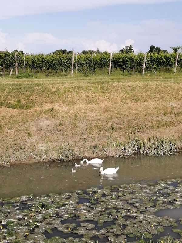 giretto in attesa della pioggia... Che non è venuta.