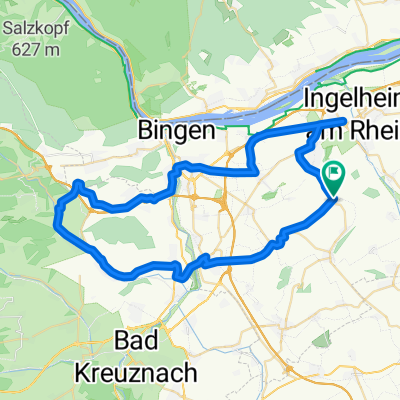 048j: Ingelheim - Gensingen - Windesheim - Trollbachtal - Ingelheim