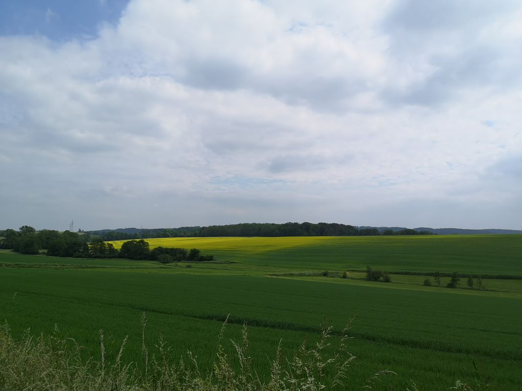 Tolle Runde
