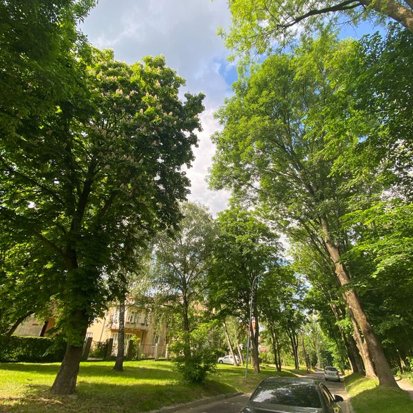 Photo 2: Анастасія Пушкар