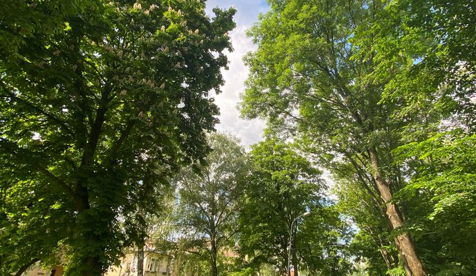 Foto 2 der Bikemap-Route "Leonida Perfetskoho Street, 2А, Lviv to Bilotserkivska Street, Lviv"