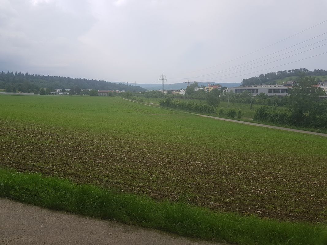 Rund um die Habsburg