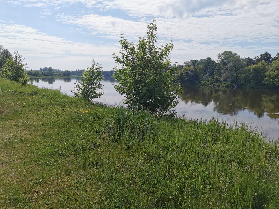 Pierwsza Nadbużańska Przechadzka Po Podlasiu - pomagamy Rycerzowi Mikołajowi.