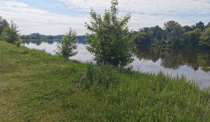 Foto 2 der Bikemap-Route "Pierwsza Nadbużańska Przechadzka Po Podlasiu - pomagamy Rycerzowi Mikołajowi."