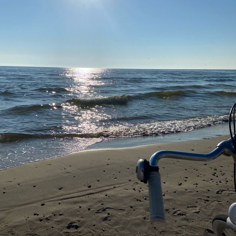 Route from I. Kanto gatvė 46, Klaipėda