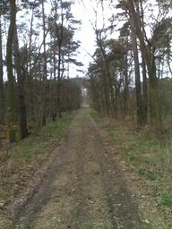 Highlight 1 along the Bikemap route "Marienfelde - Beelitz - Marienfelde"