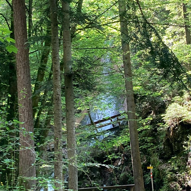 Dorf 72a, Schwoich nach Dorf 146, Schwoich