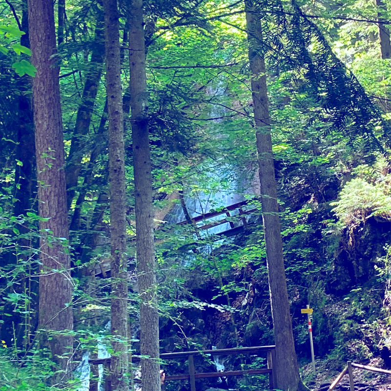 Dorf 72a, Schwoich nach Dorf 146, Schwoich